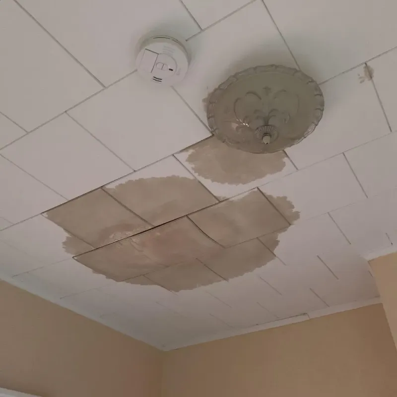 Ceiling Water Damage Repair in Northbrook, IL
