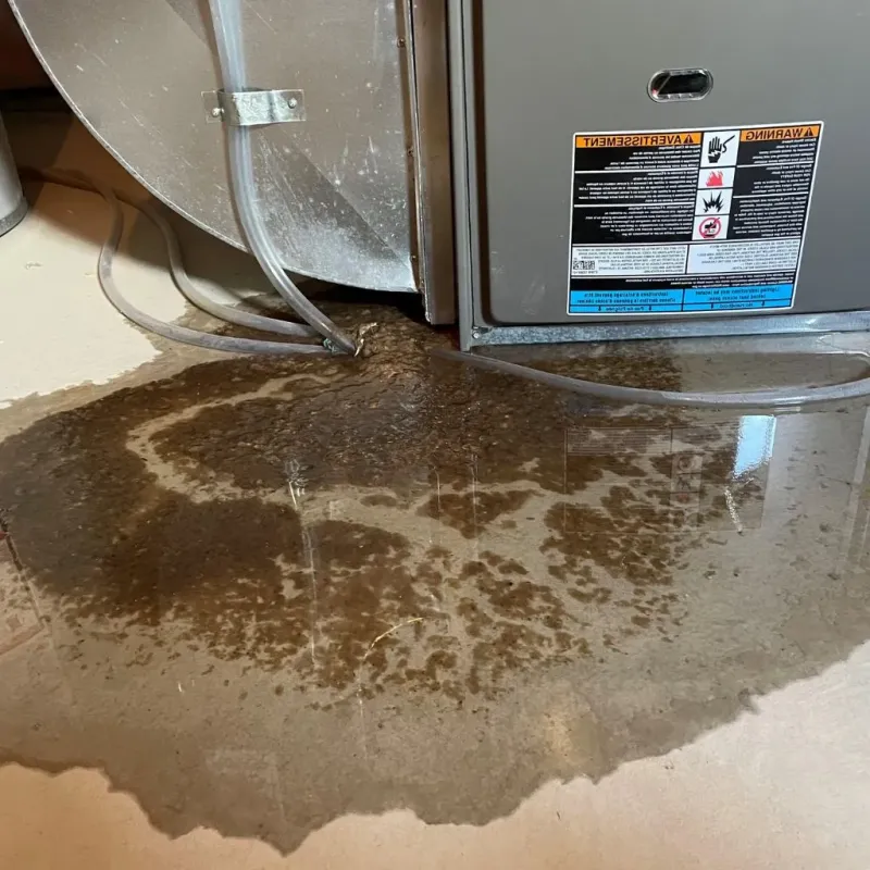 Pipe Burst and Leak Restoration in Northbrook, IL